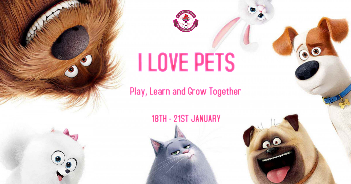 Toys Party & I Love Pets